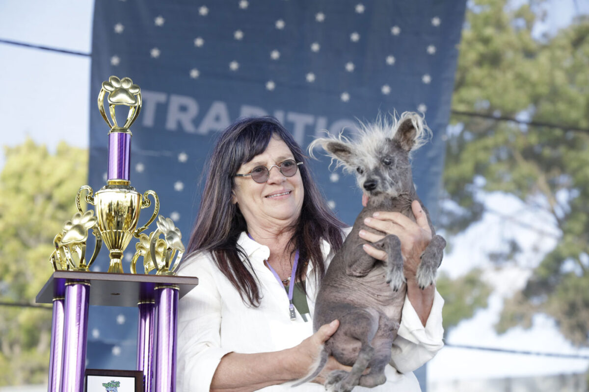 2024 Pet Expos Dog Shows Dog Events   85A7484 1200x800 