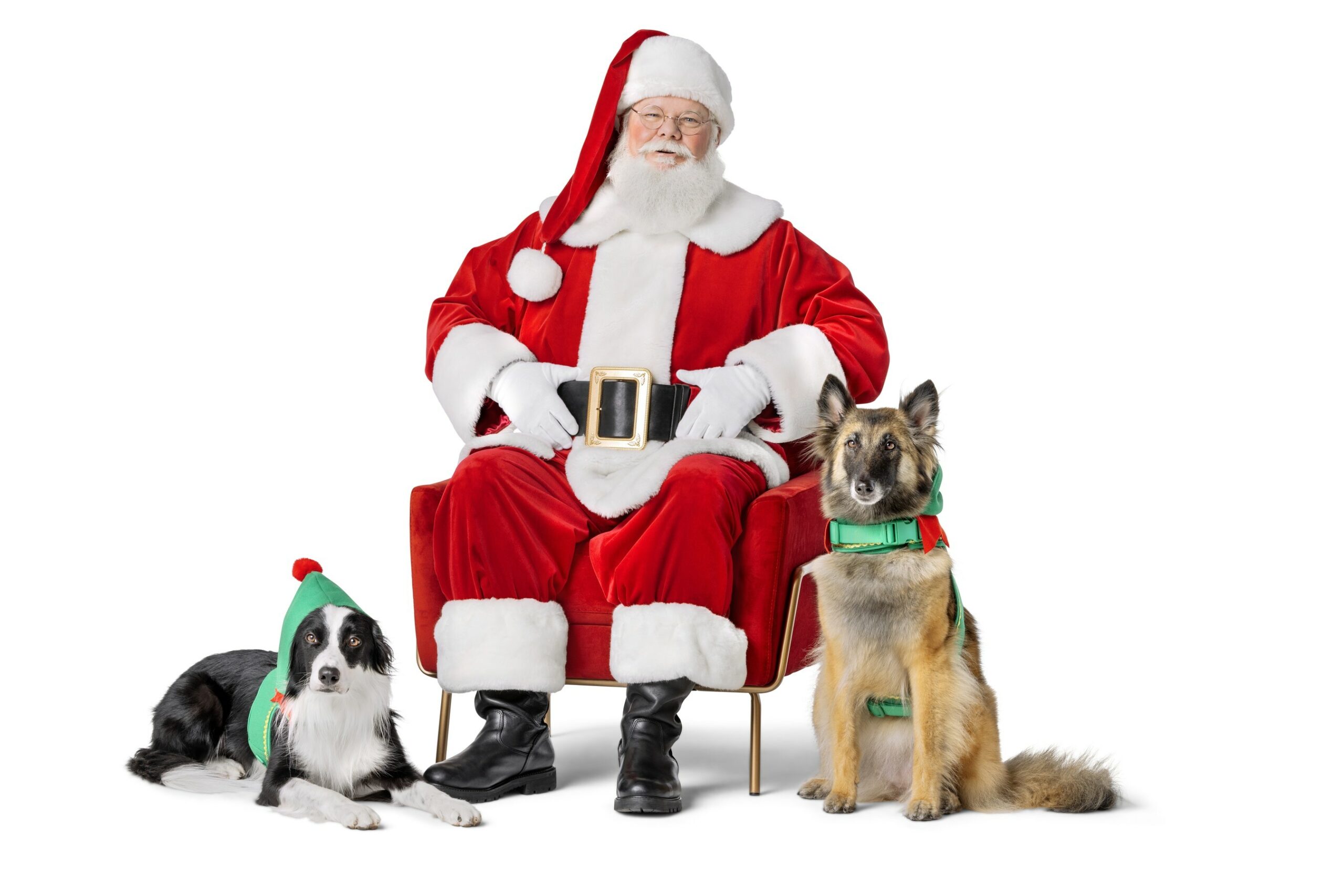 Taking Your Dog to See Santa Tips for a Jolly Visit!